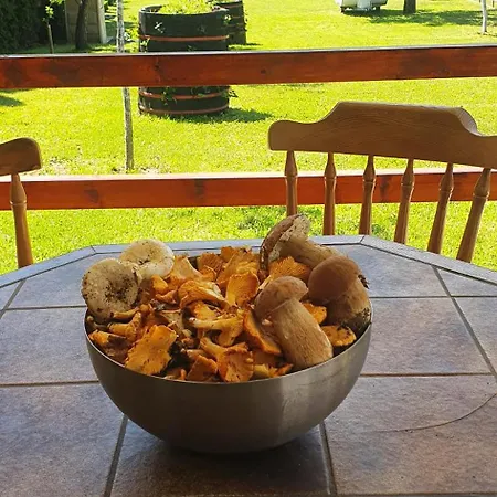 Kamp Kucica Trokrevetna Campingplads